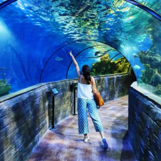 malta aquarium tunnel