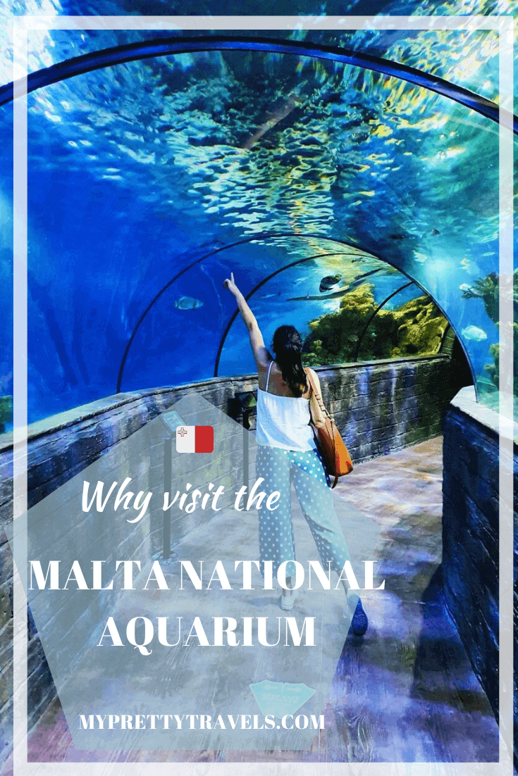 Malta National Aquarium tickets, opening hours & free entry My Pretty Travels